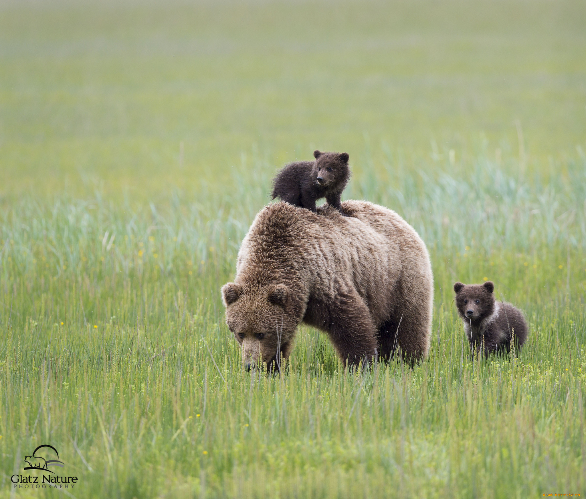 , , , lake clark national park, alaska, , , , , 